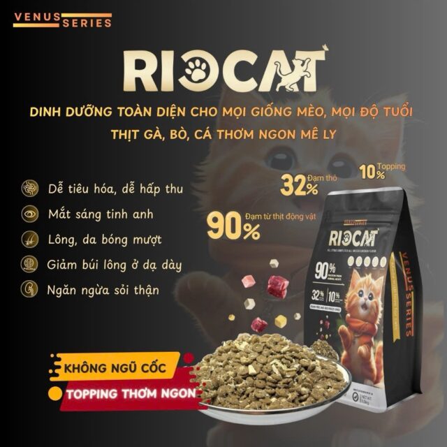 Hạt Rio Cat 1kg - Ảnh 2