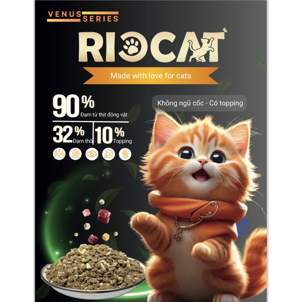 Hạt Rio Cat 1kg