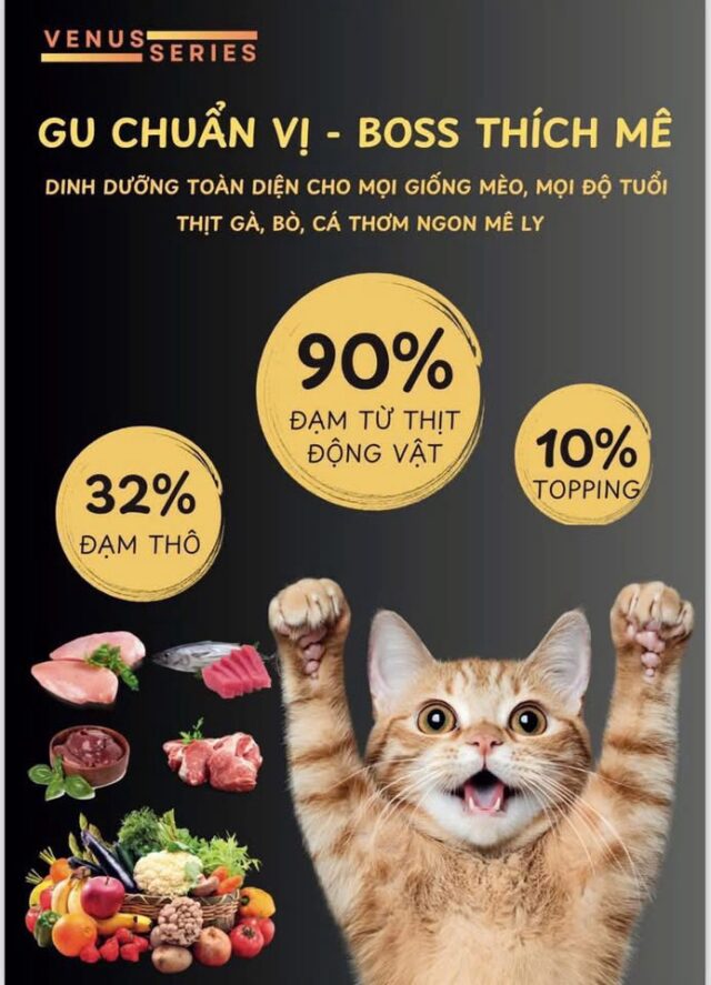 Hạt Rio Cat 1kg - Ảnh 3