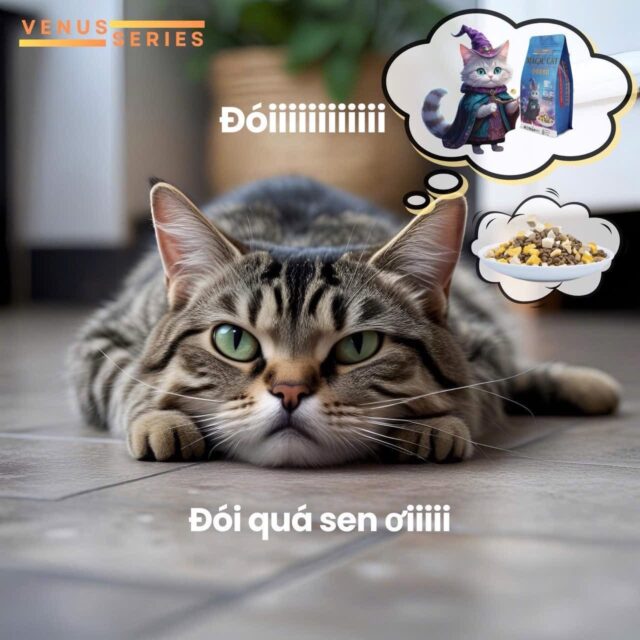 Hạt Magic Cat mix topping không ngũ cốc túi 1kg - Ảnh 2