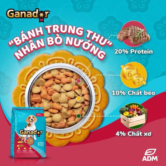 Hạt Ganador túi 3kg vị bò/ gà nướng cho chó trưởng thành