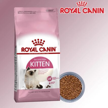 Hạt Royal Canin Kitten cao cấp cho mèo con