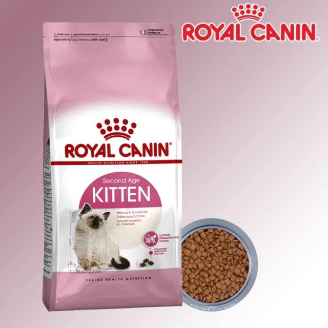 Hạt Royal Canin Kitten cao cấp cho mèo con
