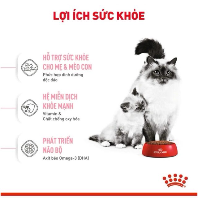 Hạt Royal Canin Kitten cao cấp cho mèo con - Ảnh 3