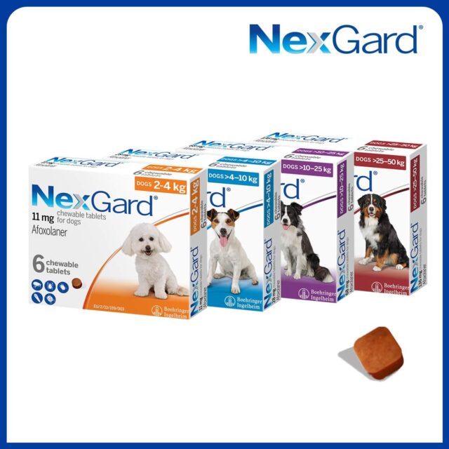 Viên nhai Nexgard trị ngoại kí sinh cho cún - Ảnh 9