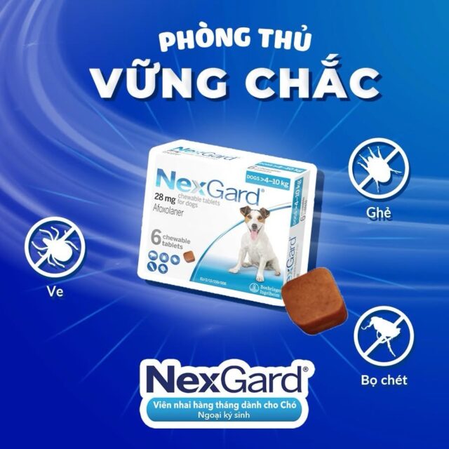 Viên nhai Nexgard trị ngoại kí sinh cho cún - Ảnh 10