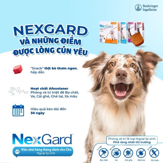 Viên nhai Nexgard trị ngoại kí sinh cho cún