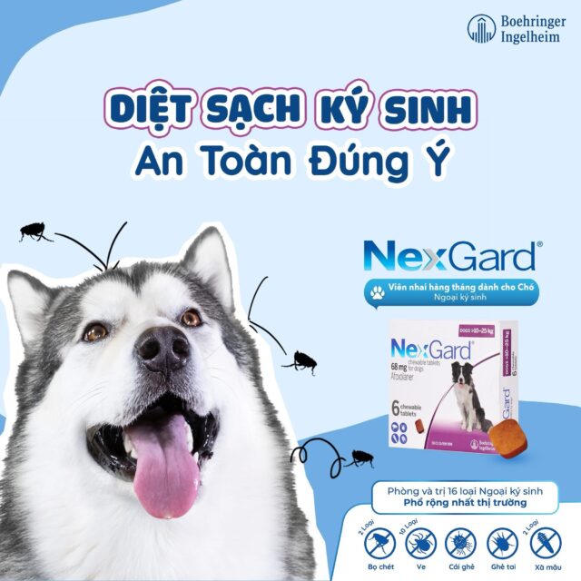 Viên nhai Nexgard trị ngoại kí sinh cho cún - Ảnh 2